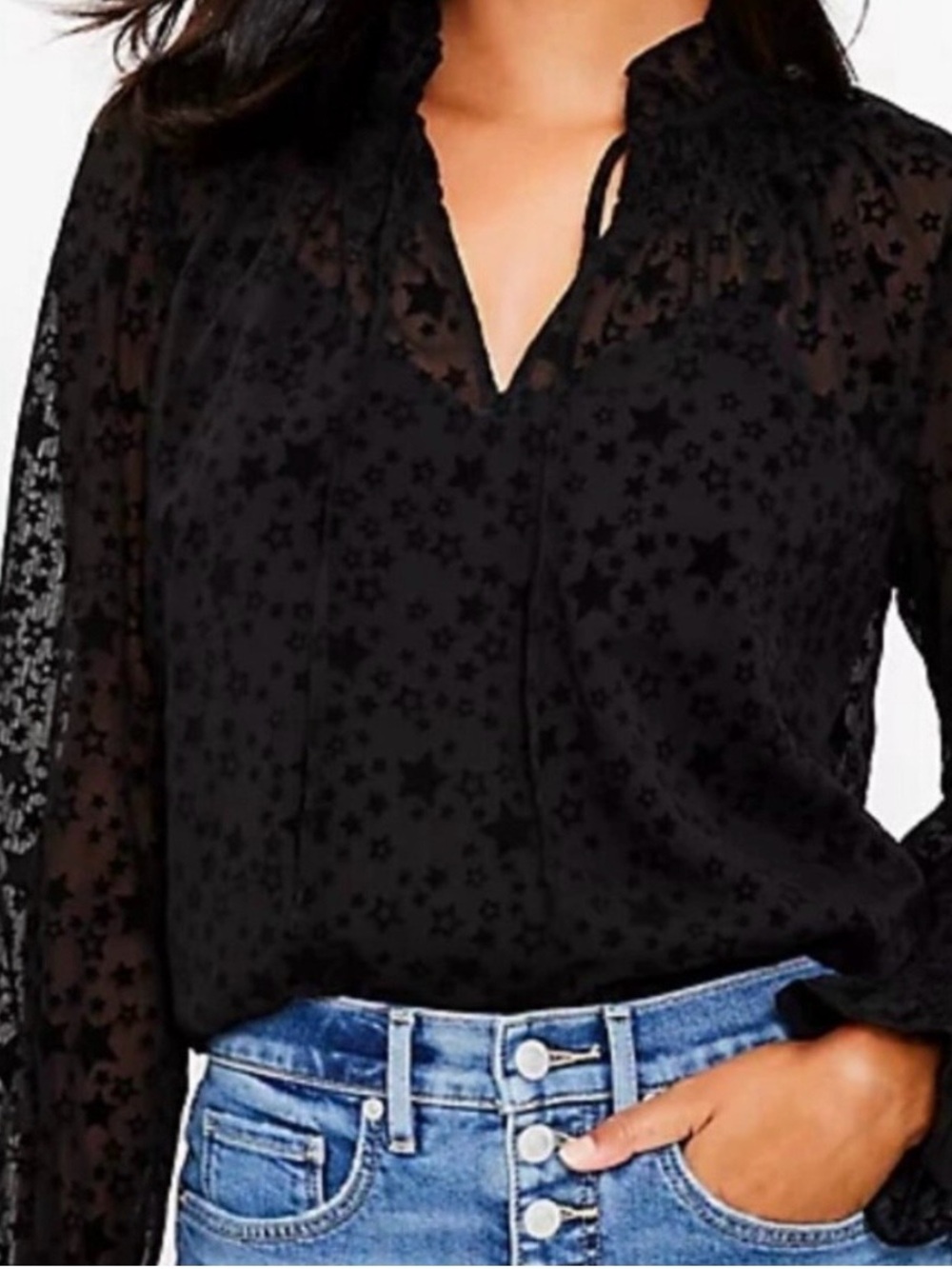 Loft Star Ruffle Velvet Burnout - Tie Neck Blouse - Black Sheer - Size Large